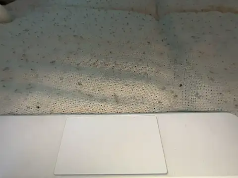 goddesemiiyy online show from November 2025 06:34:02 PM