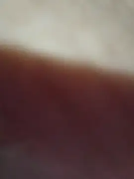 Ceroloco online show from December 2025 08:12:02 AM