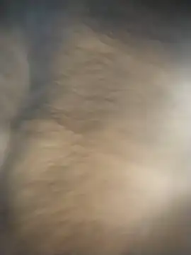 SL BEAR online show from December 2025 01:48:02 AM