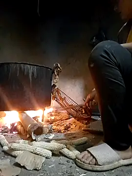 limely- online show from November 2025 01:55:01 PM