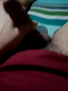 candidato24 online show from January 2026 05:33:01 AM