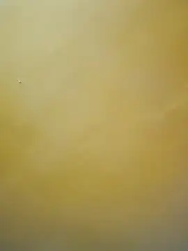 Snapshot of tamil-mala23 chatting on October 2025 11:44:02 AM tamil-mala23 online show from October 2025 11:44:02 AM