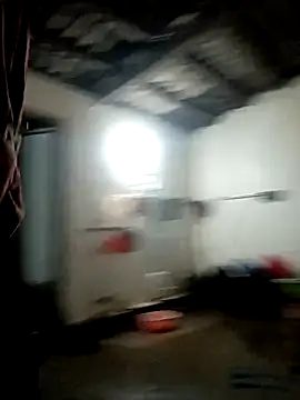 sipy- online show from November 2025 10:13:02 AM