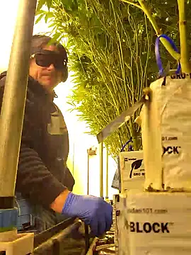 Akdecline online show from January 2026 06:21:02 PM