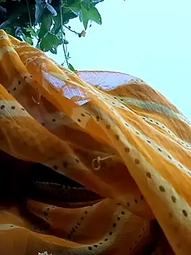 Cutsedi3 online show from October 2025 11:33:02 AM