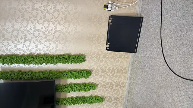 OliviaCart online show from April 2026 02:11:01 PM