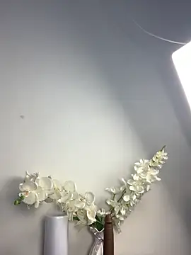 Candy Brown69 online show from October 2025 12:01:02 PM