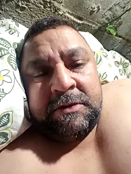 wallcava online show from October 2025 04:11:01 AM