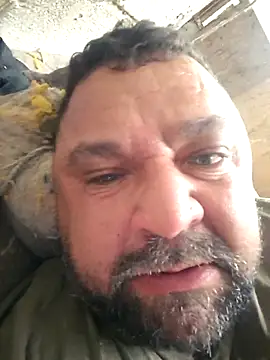 wallcava online show from February 2026 06:25:01 PM