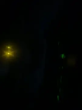 Butterfly8385 online show from January 2026 03:21:01 AM