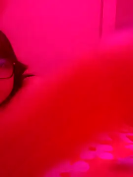 xcodigorojo online show from November 2025 06:57:01 AM