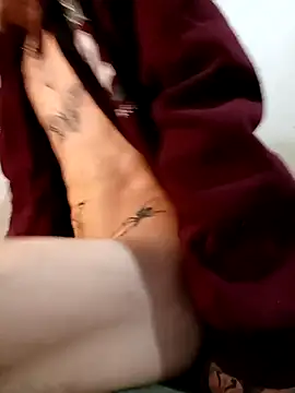 RuivoDotado24cm online show from November 2025 08:46:02 AM