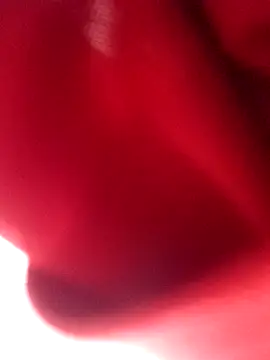 Snapshot of nalgastalla60 chatting on February 2026 03:55:02 AM nalgastalla60 online show from February 2026 03:55:02 AM