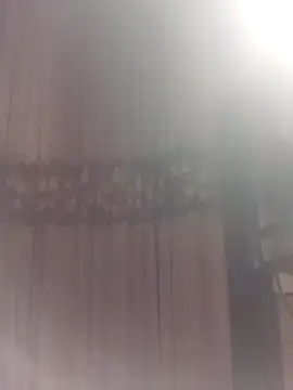 YiyinLy online show from March 2026 09:15:01 PM