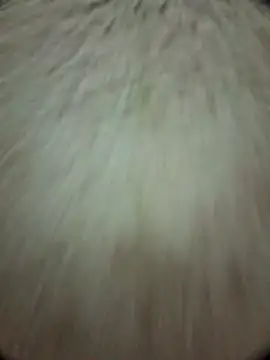 torresflow99nais online show from November 2025 11:32:02 AM