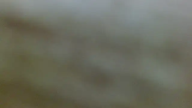 Snapshot of Axel_Stones_ chatting on November 2025 01:21:02 PM Axel Stones online show from November 2025 01:21:02 PM