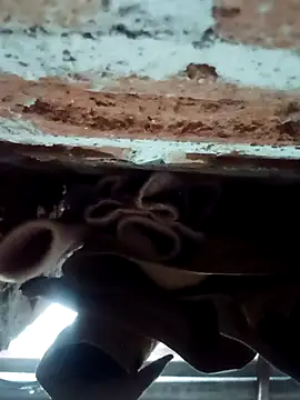 Snapshot of Rajni_chauhan chatting on February 2026 04:27:02 PM Rajni chauhan online show from February 2026 04:27:02 PM