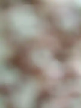 Rajni chauhan online show from March 2026 04:44:02 PM