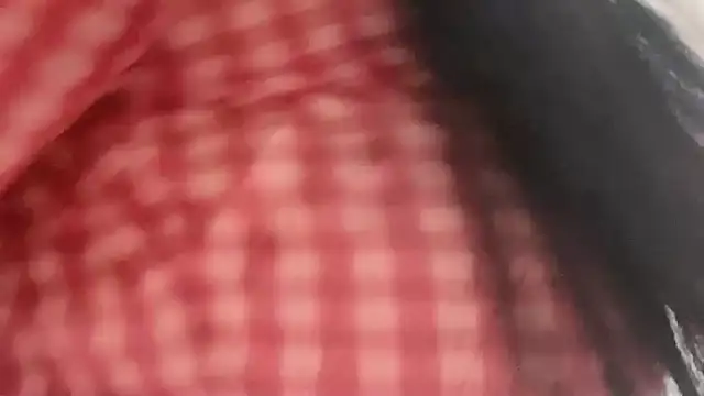 lsevenlll online show from November 2025 12:35:02 AM