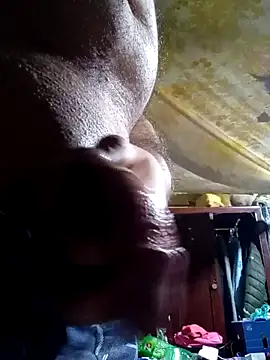 Cogelonregio online show from February 2026 02:10:01 PM