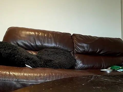 Snapshot of Plodrodder chatting on October 2025 09:45:01 AM Plodrodder online show from October 2025 09:45:01 AM