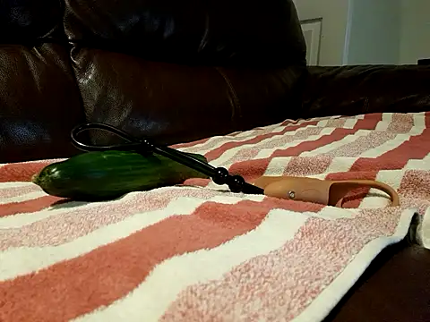 Snapshot of Plodrodder chatting on October 2025 09:54:01 AM Plodrodder online show from October 2025 09:54:01 AM