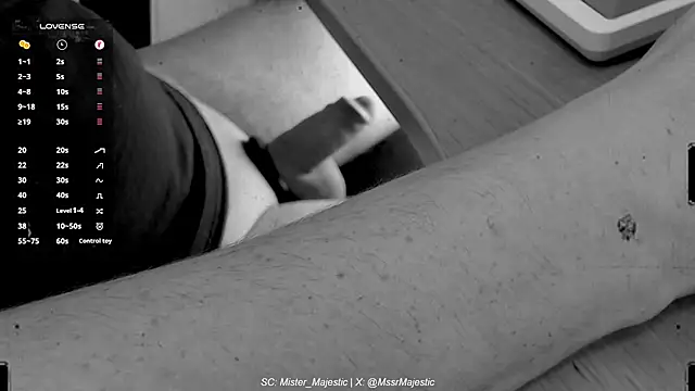 Snapshot of Mister_Majestic chatting on December 2025 02:23:01 PM Mister Majestic online show from December 2025 02:23:01 PM