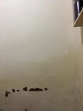 Snapshot of yoryy07 chatting on March 2026 02:00:01 PM yoryy07 online show from March 2026 02:00:01 PM