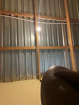 Snapshot of solodrive chatting on February 2026 10:13:02 AM solodrive online show from February 2026 10:13:02 AM