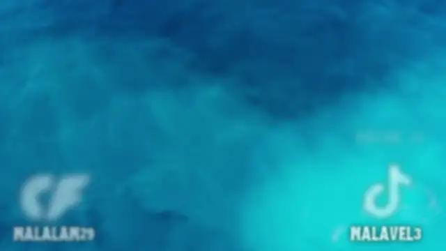 Snapshot of Nalan__ chatting on February 2026 06:06:02 AM Nalan online show from February 2026 06:06:02 AM