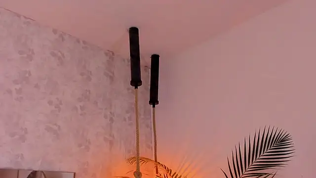 david lux online show from November 2025 12:04:01 PM