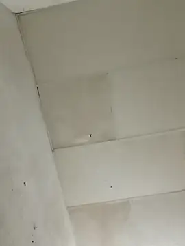 chikis12  online show from November 2025 08:52:01 PM