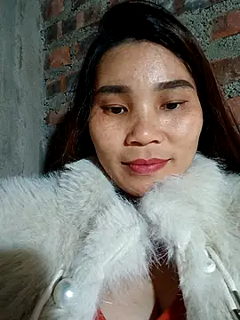 Bear bear0 online show from November 2025 03:35:01 PM