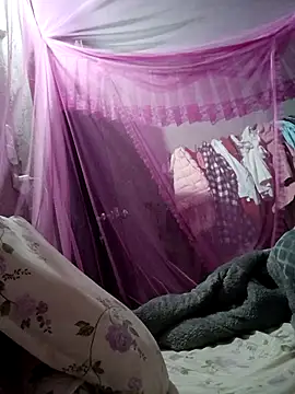 Bear bear0 online show from February 2026 03:32:01 PM