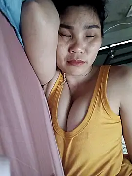 Bear bear0 online show from April 2026 05:19:02 AM