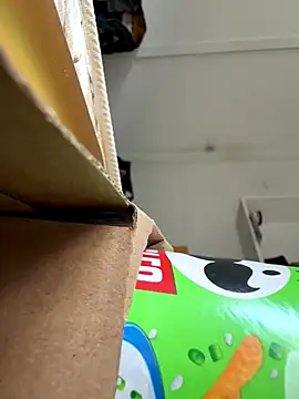 Snapshot of cheems232 chatting on November 2025 07:48:02 PM cheems232 online show from November 2025 07:48:02 PM