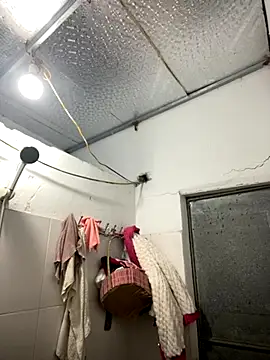 Deer nice online show from November 2025 02:51:01 PM