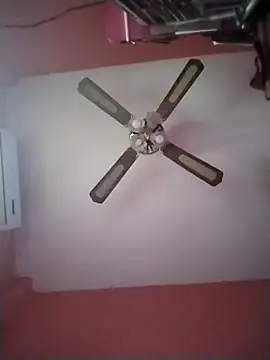 Danii2005 online show from December 2025 05:30:01 PM