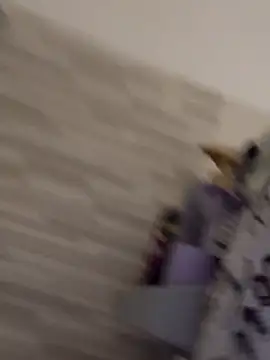 gatitalocahot online show from March 2026 08:32:01 PM