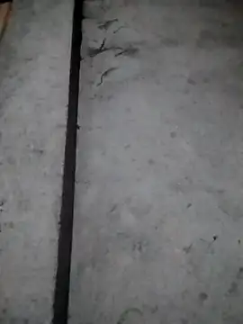 rickkis2k online show from December 2025 10:15:01 PM