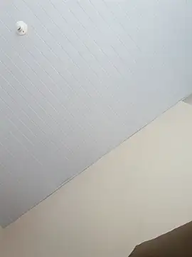 Snapshot of Morenodotado0 chatting on February 2026 03:32:02 PM Morenodotado0 online show from February 2026 03:32:02 PM