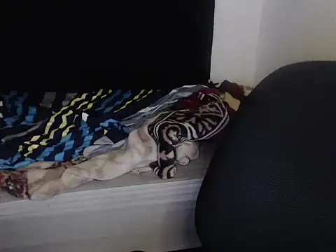 Negritatata online show from November 2025 11:13:02 AM