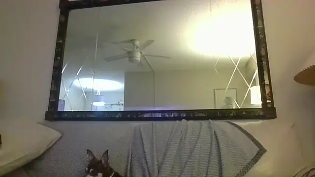 KosherCo313 online show from November 2025 01:27:02 AM