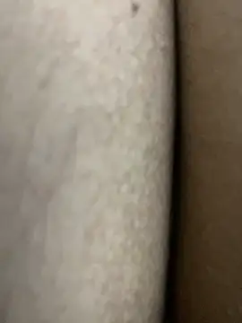 ankara1213 online show from November 2025 04:12:02 PM