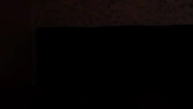 SavageLover  online show from November 2025 03:51:01 AM