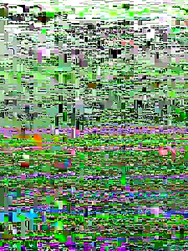 perfectguy4u online show from October 2025 08:55:02 PM