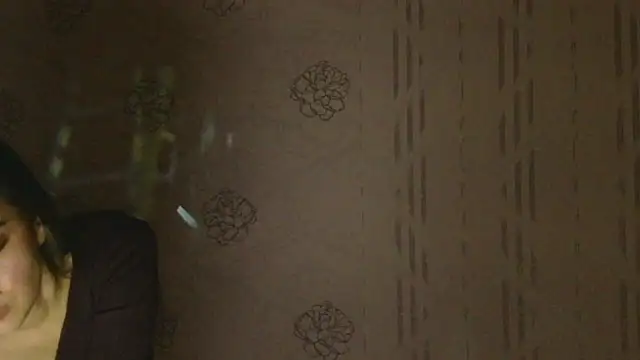 Snapshot of LumiHeart chatting on November 2025 04:45:02 PM LumiHeart online show from November 2025 04:45:02 PM