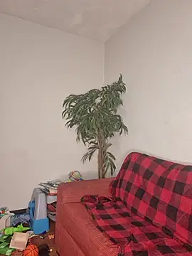 SweetieP11 online show from November 2025 05:03:01 PM