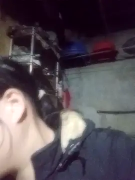 Noelle-e online show from February 2026 11:15:01 AM