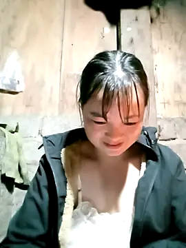 Noelle-e online show from February 2026 10:33:02 AM